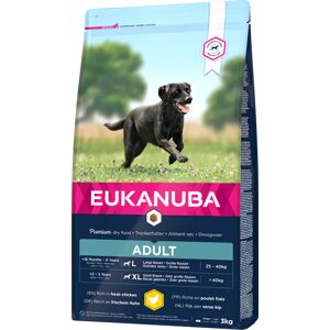 Eukanuba Adult Large Breed Pour Chien 15kg