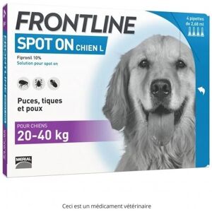 Frontline Spot-on chien L 20 a 40kg - 1 pipette