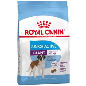 Royal Canin Giant Junior Active pour chien 15kg