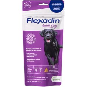 Flexadin chien adult 70 bouchees