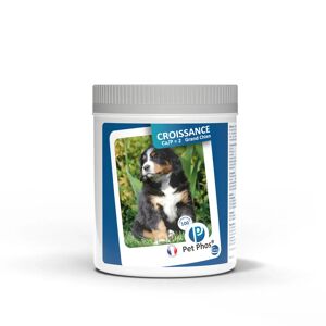 Pet Phos PET-PHOS croissance 2 grand chien