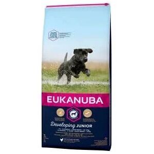 Eukanuba Puppy & Junior Large Breed pour chien 3kg