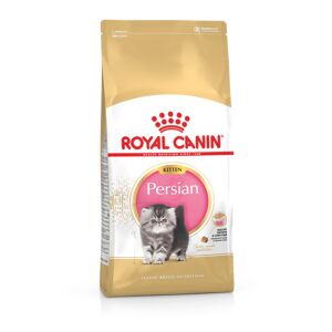 Royal Canin Chat Persan Chaton 4kg
