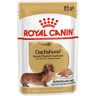 Royal Canin Teckel Adult pour chien 12 x 85g