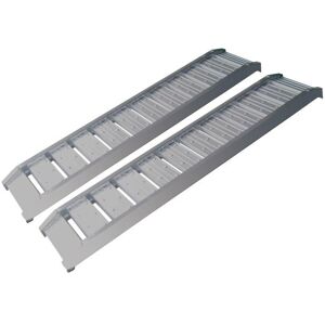 Dema Rampes de chargement - déchargement Alu - Charge 1200 kg - la paire - Publicité Dema Rampes de chargement - déchargement Alu - Charge 1200 kg - la paire - Publicité