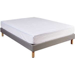 Ce protège matelas molleton 100% coton forme drap housse (220 g/m²) dispose de deux faces grattées pour un toucher ultra doux. Il est élastique sur toute la largeur, à la tête et aux pieds permettant une adaptation parfaite à la forme du matelas.- Composition : 100% coton- Grammage : 220 g/m²- Bonnet : 30 cm- Coloris : blanc- Permet d’optimiser votre confort mais assurera également une protection supplémentaire pour votre matelas en le maintenant de façon efficace grâce aux élastiques- Produit anallergique pour profiter d'une hygiène parfaite et un sommeil sain - Bénéficie du label Vosges Terre Textile, garantissant une fabrication française authentique dans les Vosges- Disponible dans de nombreuses tailles standards et spécifiques : 90x190, 90x210, 140x190, 140x200, 140x210...CONSEILS : Lavable à 95°C, séchage en tambour déconseillé, traitement à l'eau de javel autorisé (chlorage dilué à froid), repassage à 200°C, ne pas nettoyer à sec. image