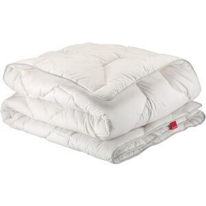 Epeda Couette Epeda Aloe Vera hiver anti-acariens 200x200