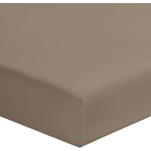 Terre de Nuit Drap housse taupe 100% coton biologique bonnet 30 cm 200x200