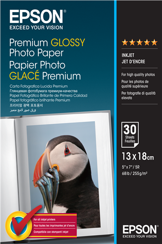 Epson Premium Glossy 30 Blatt Papier Blanc Original C13S042154