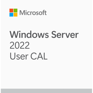 Microsoft Windows Server 2022 Cal Utilisateur/user 10 Utilisateurs