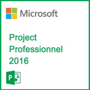 Microsoft Project Professionnel 2016