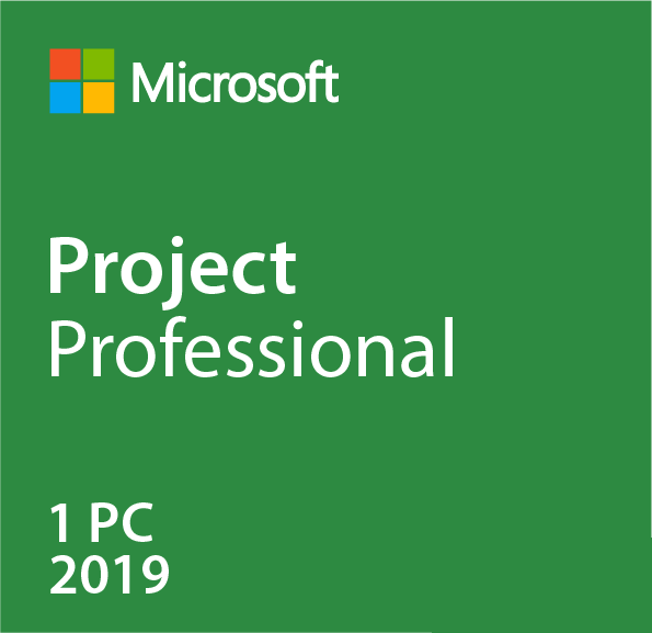 Microsoft Project Professionnel 2019