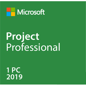 Microsoft Project Professionnel 2019