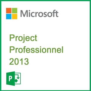 Microsoft Project Professionnel 2013