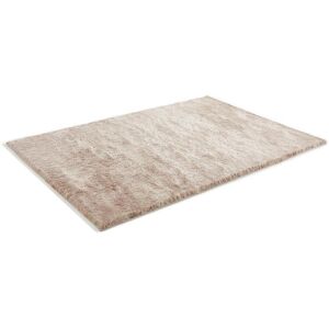 OZAIA Tapis shaggy a poils longs ultra doux - 120 x 170 cm - Taupe reflet beige - DOLCE