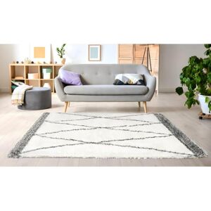 OZAIA Tapis shaggy à poils longs style berbère HANIA - 160 x 230 cm - beige et gris