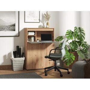 Vente unique Secretaire 2 portes Coloris Naturel et gris IDONAR