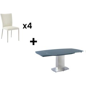 Vente-unique Ensemble table + 4 chaises TALICIA - Gris et Blanc