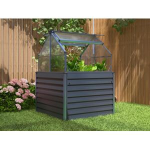 Vente-unique.com Mini serre de jardin en polycarbonate et structure en aluminium - L120 x l120 x H169 cm - anthracite - GENISTA