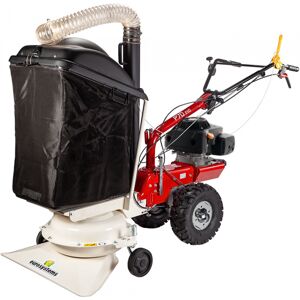 Eurosystems P70 EVO - Aspirateur à feuilles thermique - Loncin 224 OHV