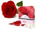 LoversPremium Pétales de Roses et Bougies LED