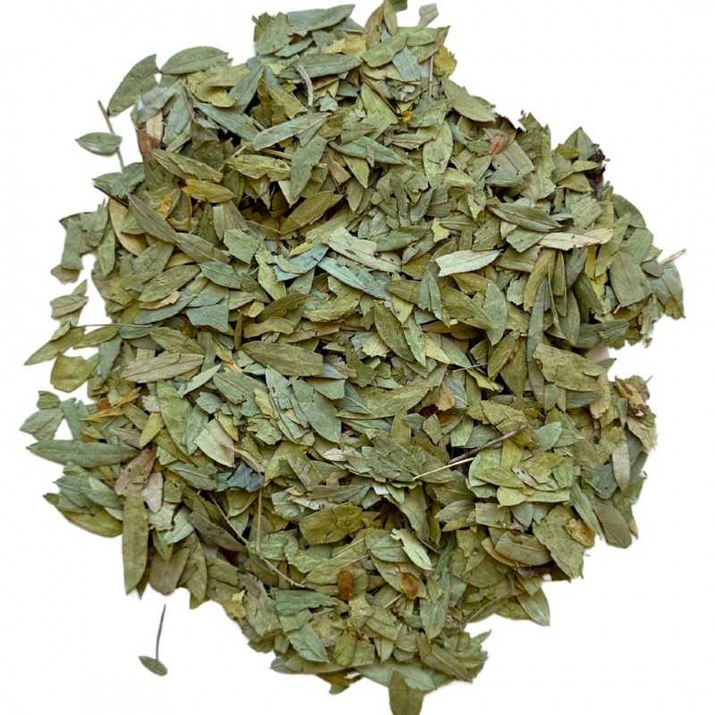 France Herboristerie Tisane Séné Feuille 100 GRS Cassia angustifolia.