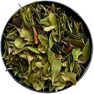 France Herboristerie Tisane Busserole 100g ou Raisin d'Ours (Arctostaphylos uva-ursi) - Sachet de 100g (feuille entiere)