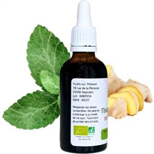 France Herboristerie Tisane instantanée Menthe Gingembre - Mentha gracilis - Flacon de 50ml - Publicité France Herboristerie Tisane instantanée Menthe Gingembre - Mentha gracilis - Flacon de 50ml - Publicité