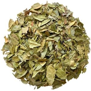 France Herboristerie Tisane Boldo feuille 250 GRS Peumus boldus. Publicité France Herboristerie Tisane Boldo feuille 250 GRS Peumus boldus. Publicité
