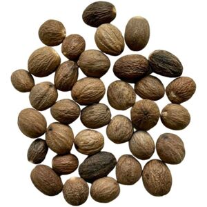 France Herboristerie Tisane Noix de Muscade ENTIERE Nux moschata - Publicité France Herboristerie Tisane Noix de Muscade ENTIERE Nux moschata - Publicité