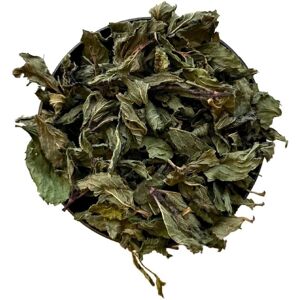 France Herboristerie Tisane Menthe poivrée feuille 1 KILO Mentha piperita - Publicité France Herboristerie Tisane Menthe poivrée feuille 1 KILO Mentha piperita - Publicité