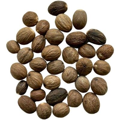 France Herboristerie Tisane Noix de Muscade ENTIERE Nux moschata - Publicité France Herboristerie Tisane Noix de Muscade ENTIERE Nux moschata - Publicité