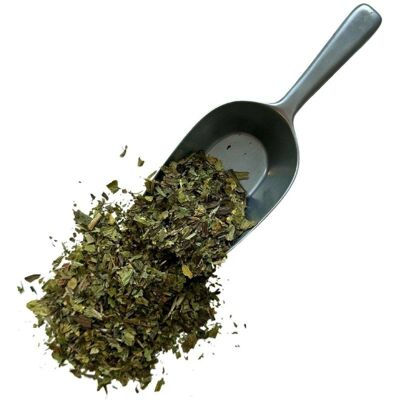 France Herboristerie Tisane Plantain feuille France extra Plantago lanceolata. Publicité France Herboristerie Tisane Plantain feuille France extra Plantago lanceolata. Publicité