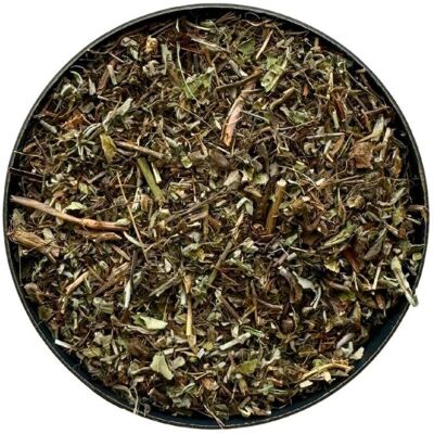 France Herboristerie Tisane Piloselle plante Hieracium pilosella. Publicité France Herboristerie Tisane Piloselle plante Hieracium pilosella. Publicité