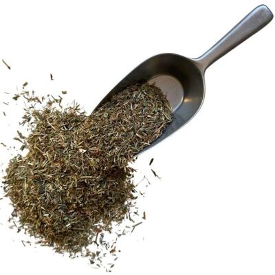 France Herboristerie Tisane Renouée des oiseaux plante Polygonum aviculare - Publicité France Herboristerie Tisane Renouée des oiseaux plante Polygonum aviculare - Publicité