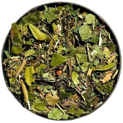 France Herboristerie Tisane '' bien-être urinaire '' - Publicité France Herboristerie Tisane '' bien-être urinaire '' - Publicité