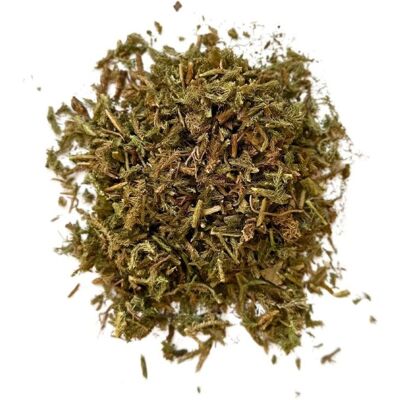 France Herboristerie Tisane Lycopode plante Lycopodium clavatum. Publicité France Herboristerie Tisane Lycopode plante Lycopodium clavatum. Publicité