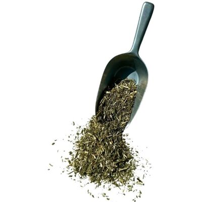 France Herboristerie Tisane Cataire plante Nepeta cataria. Publicité France Herboristerie Tisane Cataire plante Nepeta cataria. Publicité