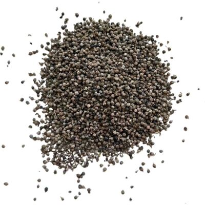 France Herboristerie Tisane Gattilier fruit ENTIER 1 KILO Vitex agnus-castus - Publicité France Herboristerie Tisane Gattilier fruit ENTIER 1 KILO Vitex agnus-castus - Publicité