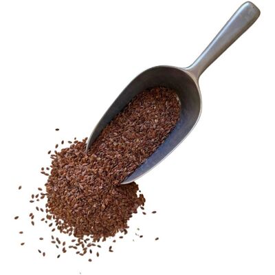 France Herboristerie Tisane Lin SEMENCE ENTIERE 1 KILO Linum usitatissimum - Publicité France Herboristerie Tisane Lin SEMENCE ENTIERE 1 KILO Linum usitatissimum - Publicité