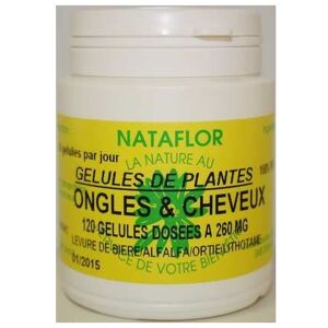 France Herboristerie Ongles et cheveux 120 gelules 260 mg poudre pure