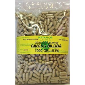 France Herboristerie GELULES GINKGO-BILOBA 250 mg 1000 GELULES