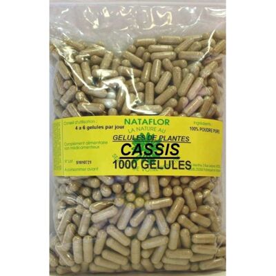 France Herboristerie - GELULES CASSIS FEUILLE 250 MG - Publicité France Herboristerie - GELULES CASSIS FEUILLE 250 MG - Publicité