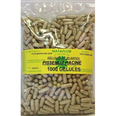 France Herboristerie GELULES PISSENLIT racine 250 mg 1000 GELULES - Publicité France Herboristerie GELULES PISSENLIT racine 250 mg 1000 GELULES - Publicité
