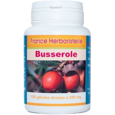 France Herboristerie GELULES BUSSEROLE feuille - dosées à 250 mg - Publicité France Herboristerie GELULES BUSSEROLE feuille - dosées à 250 mg - Publicité
