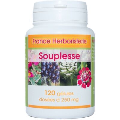 France Herboristerie SOUPLESSE ARTICULAIRE 120 gélules 260 mg poudre pure - Publicité France Herboristerie SOUPLESSE ARTICULAIRE 120 gélules 260 mg poudre pure - Publicité