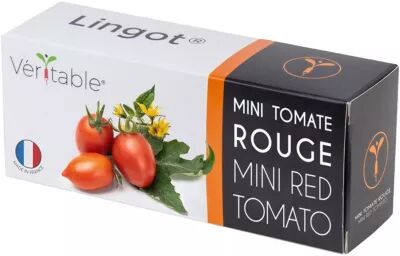 Veritable Recharge VERITABLE mini tomate rouge
