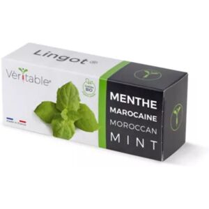 VERITABLE Recharge VERITABLE menthe marocaine bio