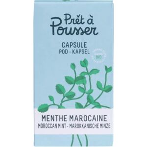 PRET A POUSSER Recharge PRET A POUSSER MENTHE MAROCAINE