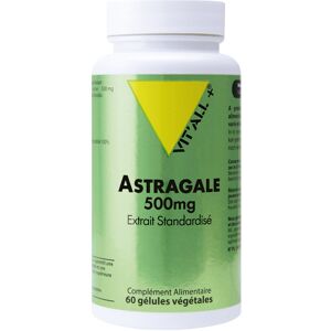 Astragale Vitall+ 500mg : Conditionnement - 60 gelules